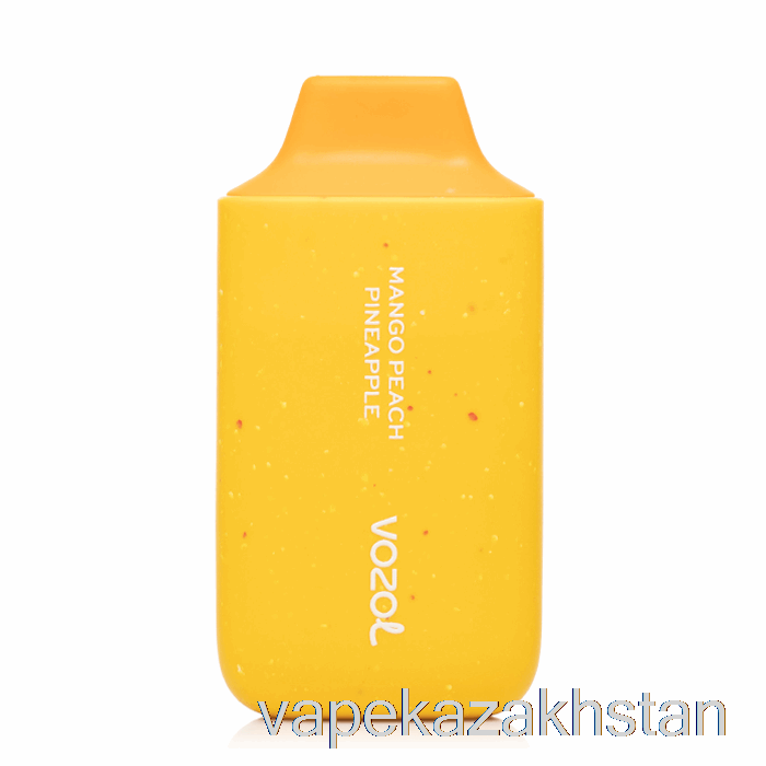 Vape Smoke VOZOL Star 6000 Disposable Mango Peach Pineapple